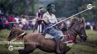 Pasola, Tradisi Tarung Kuda Masyarakat Sumba — GNFI