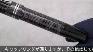 Pelikan ペリカン 万年筆 M101N リザード EF - YouTube