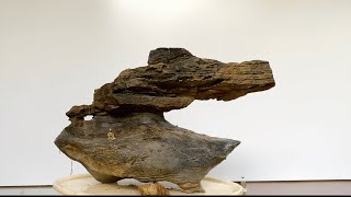 (Tối 1/6/2024) Giao lưu 12 mẫu đá cảnh nghệ thuật suiseki. Lh: 0375611722