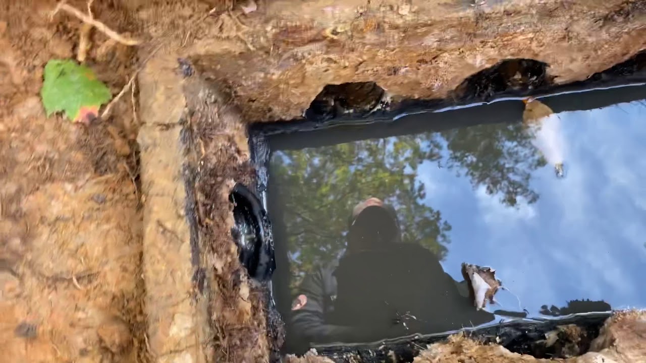 Surge Box & DBox Inspection. Woodbridge, VA. Part 2 of 2. YouTube