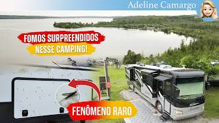 O fenômeno dos INSETOS que só acontece UMA VEZ POR ANO no Lake Michigan @AdelineCamargo