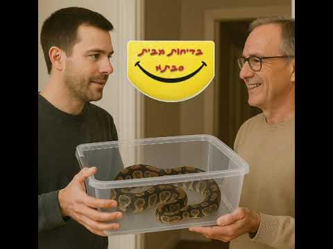 14 בנובמבר 2025