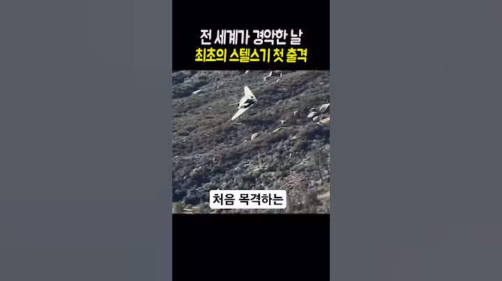 전 세계가 처음 목격한 최초의 스텔스 전투기, 전쟁 판도를 바꾼 첫 출격 F-117