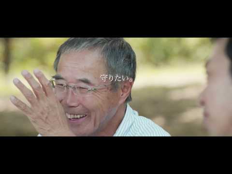 2018日特建設PV