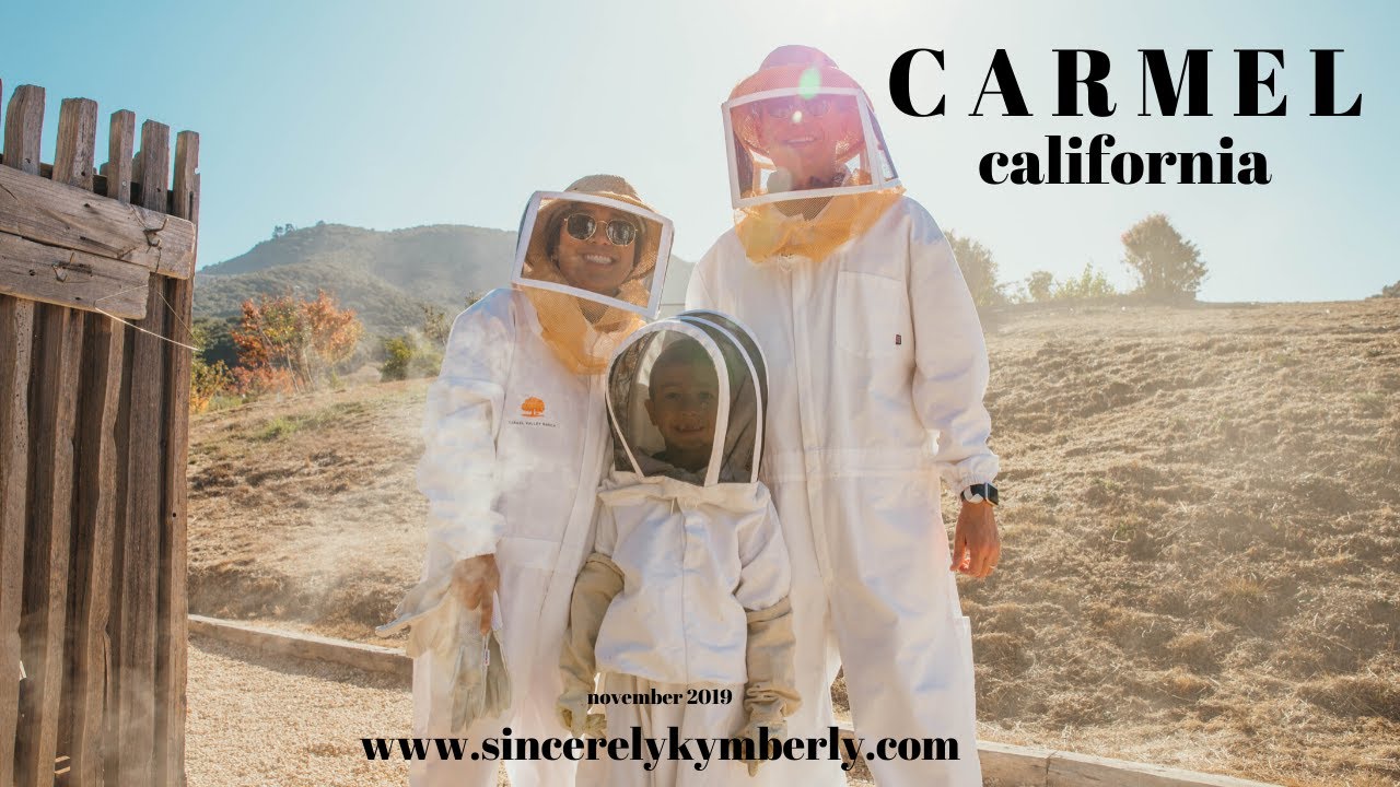 Beekeeping in Carmel and Coastal California hikes YouTube