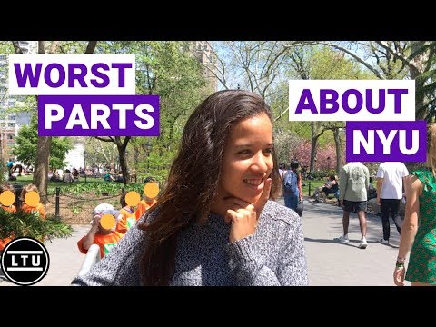 the-worst-parts-about-nyu---new-york-university---campus-interviews-(2018)-ltu