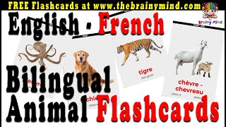 English to French | Bilingual Flashcards | Animals in French | Animaux en français