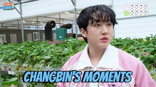 Changbin’s moments. The Tortoise and the Hare #2 [SKZ CODE] Ep. 50