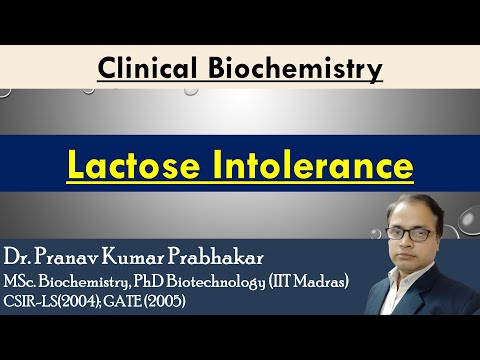 Lactose Intolerance: Pathophysiology, Causes, Symptoms, and Treatment