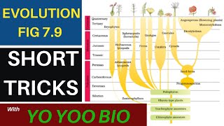 Evolution Fig 7.9 | Short tricks with Yo Yoo Bio | Explained in hindi | Made easy | NEET | NCERT |