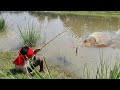 Amazing Best Traditional Boy Hunting Big Fish By Hook In Pound | Best Hook Fishing Video