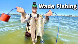 Wade FISHING Galveston Bay for my DINNER! (Catch & Cook)