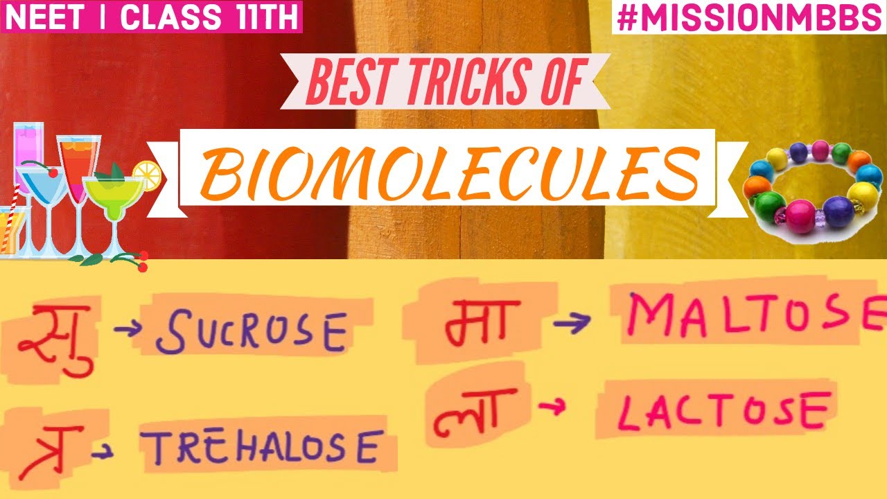 Tricks to Learn Biomolecules for NEET | Carbohydrates, Aminoacids