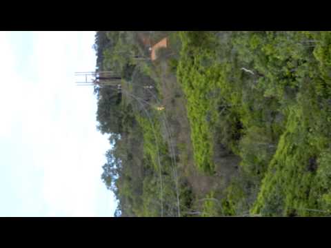 King Kong...twin lines. I recorded someone else.