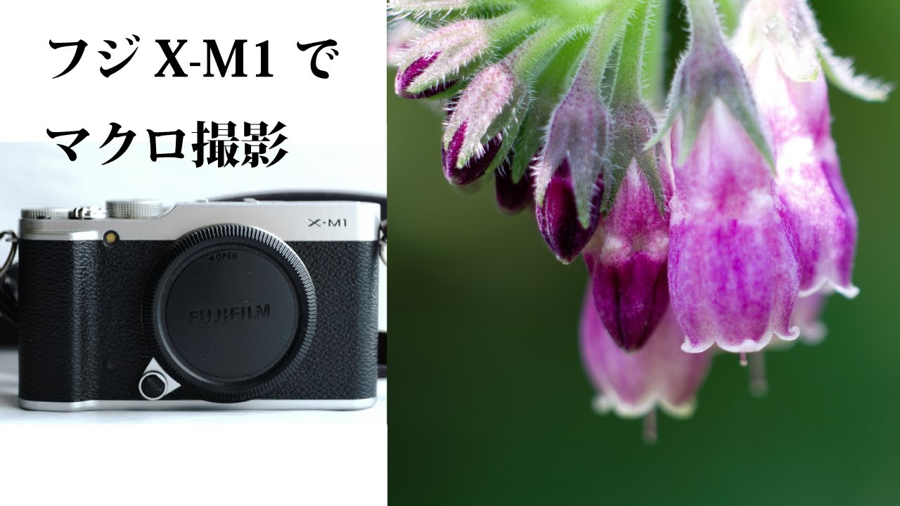 孤独Photo！フジフィルムX M1と等倍マクロの画 - YouTube