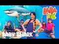 Las Mejores Canciones Infantiles - Baby Shark en español - Lara OK