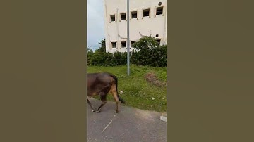 EXPLORING B-ZONE BIT SINDRI #bitsindri #jee #jceceb #jeemains #college #iitjee #counceling