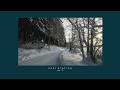 1 HOUR Deep Snow Forest ❄️ Lofi Hip Hop Mix for Study, Focus and Dark Academia