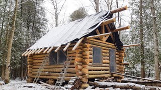 Completing the Roof Structure before Winter Ep58 Outsider Log Cabin