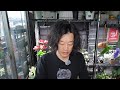 第8回花友フェスタと今後について。