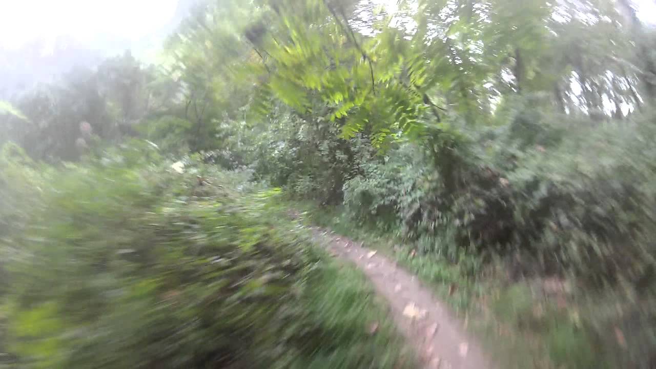 White Clay Creek State Park - Bryan's Field Trail