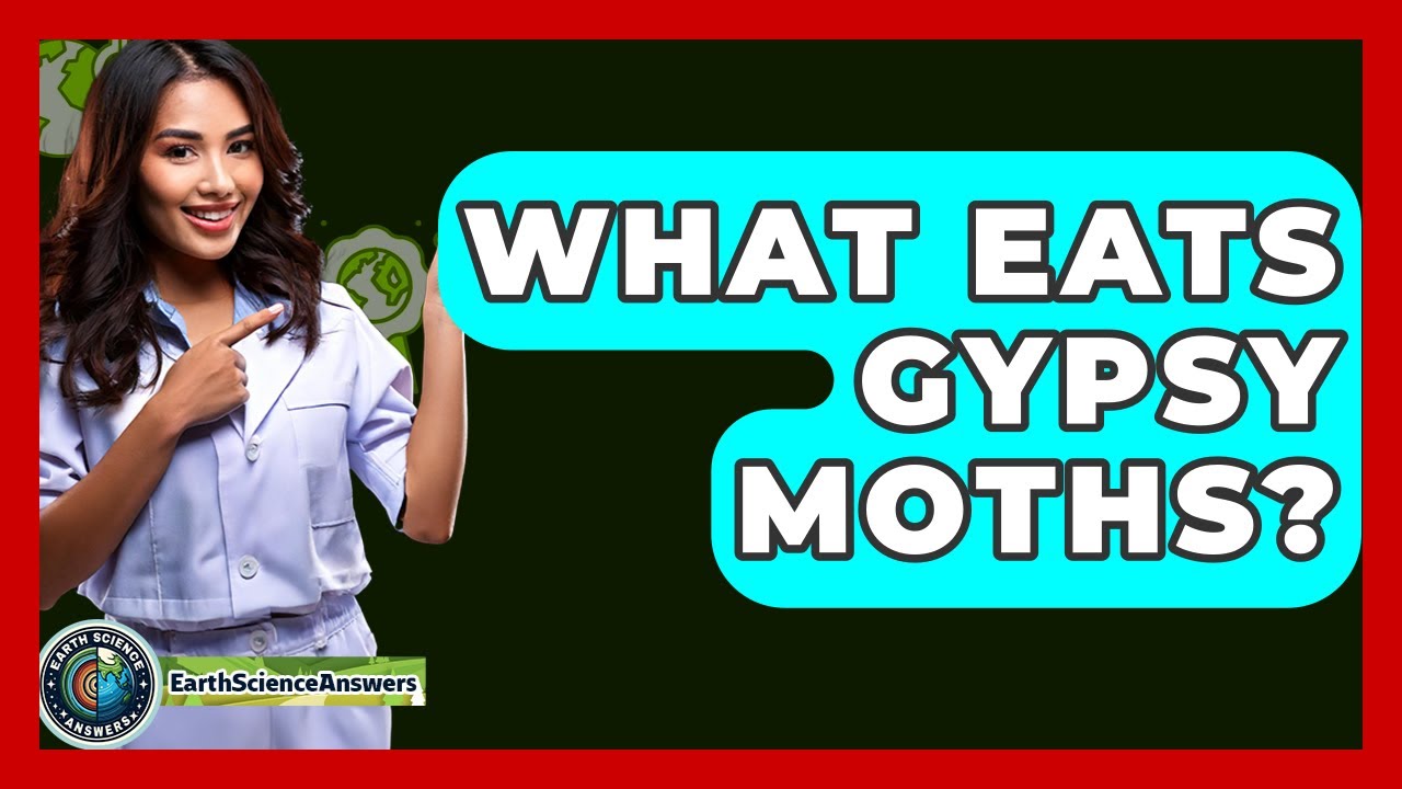 What Eats Gypsy Moths? - Earth Science Answers