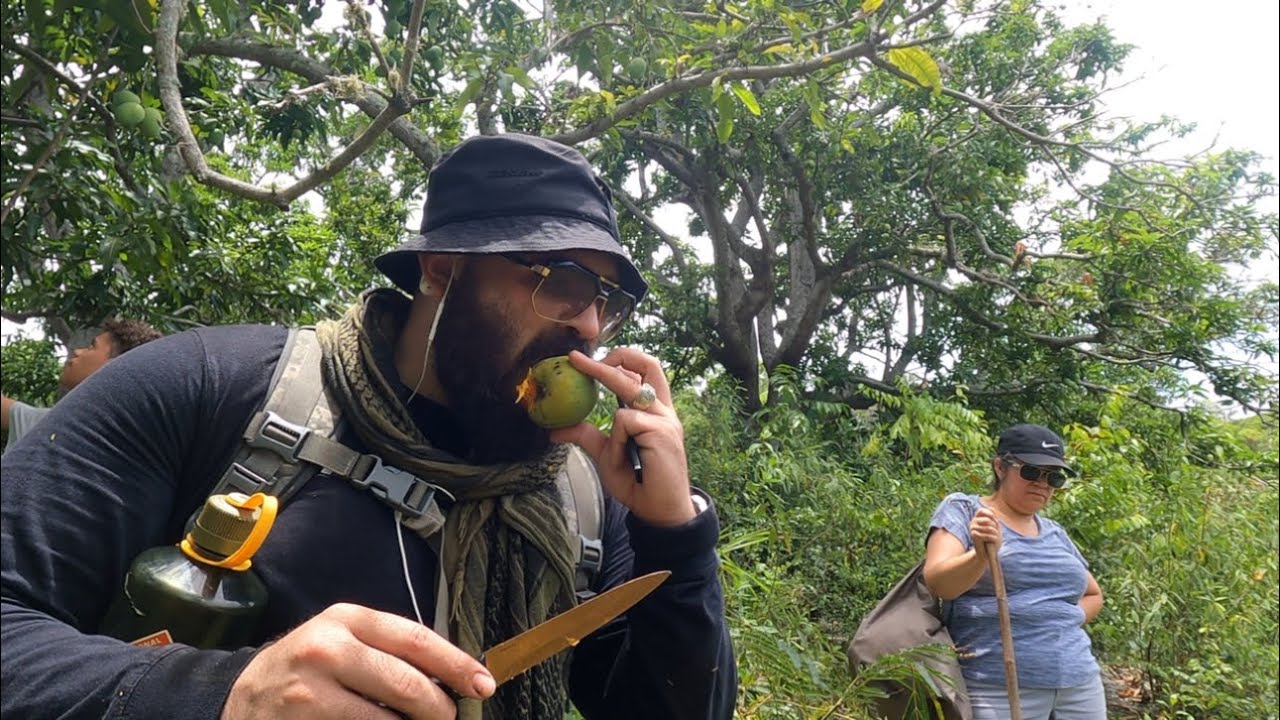 LOS LIMONES DE MAGUA ,conociendo nuestros campos RD