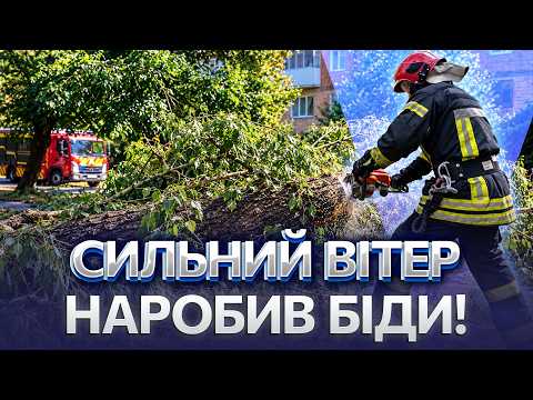 TREES FELL ON THE ROADS! Aftermath of a POWERFUL STORM in the Vinnytsia region! Rescuers are CLEA...