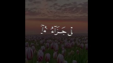 { هَلْ جَزَاءُ الْإِحْسَانِ إِلَّا الْإِحْسَانُ } - القارئ أحمد خضر 🌿💚