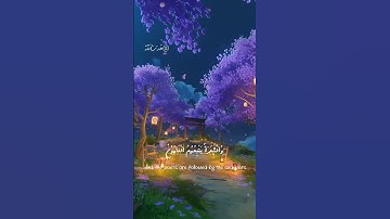 🕋✨{و الشعراء يتبعهم الغاوون ألم ترو أنهم} تلاوة القرآن الكريم خاشعة /القارئ رعد الكردي /هدى الله ✨ 🕋