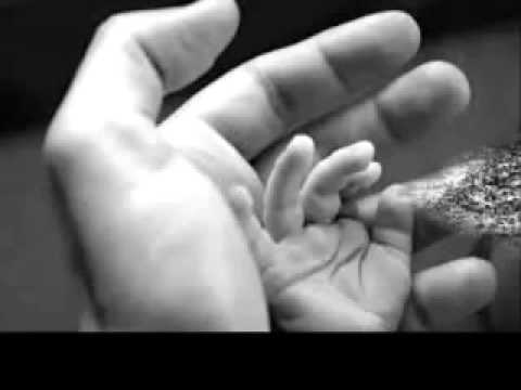 فقرة مصارحة مع علاء المنصري