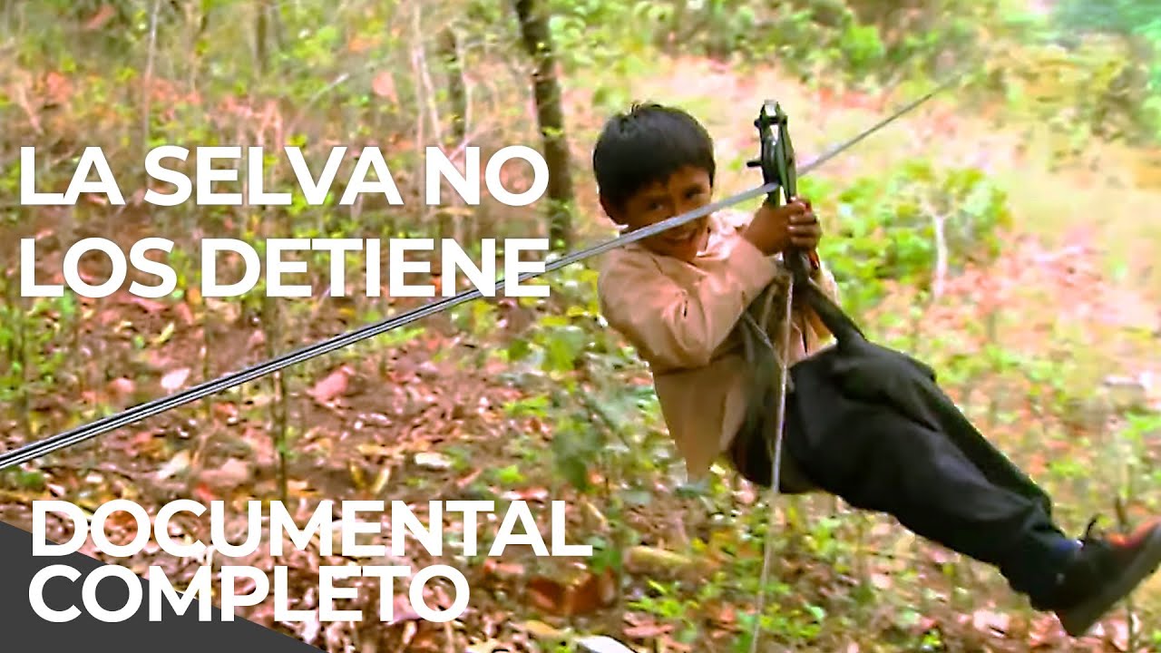 Caminos más Peligrosos a la Escuela BOLIVIA | Free Documentary Español