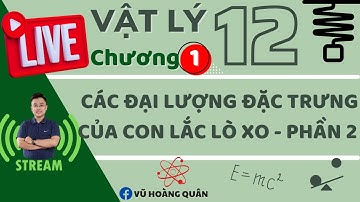 Các Đại Lượng Đặc Trưng Của Con Lắc Lò Xo_Phần 2 II Lý Thầy Quân