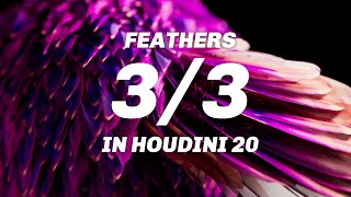 New In Houdini 20: Feathers 03 - Simulating And Rendering
