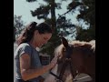 Horses Are Everything | Celebrating horses, what we love about them, and their impact.