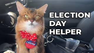 This Cat Had an Important Election Day Job 🗳️😺