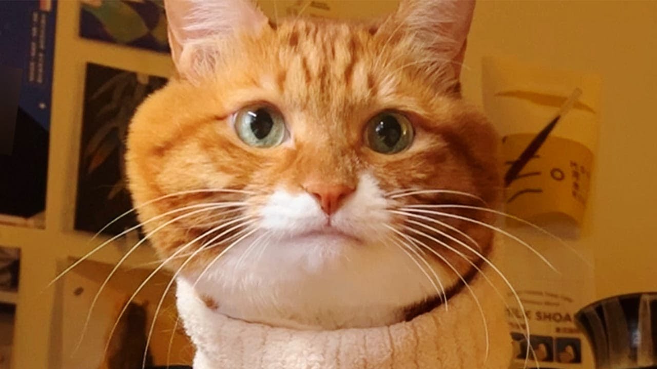 “我不管，我就是要和妈妈贴贴”