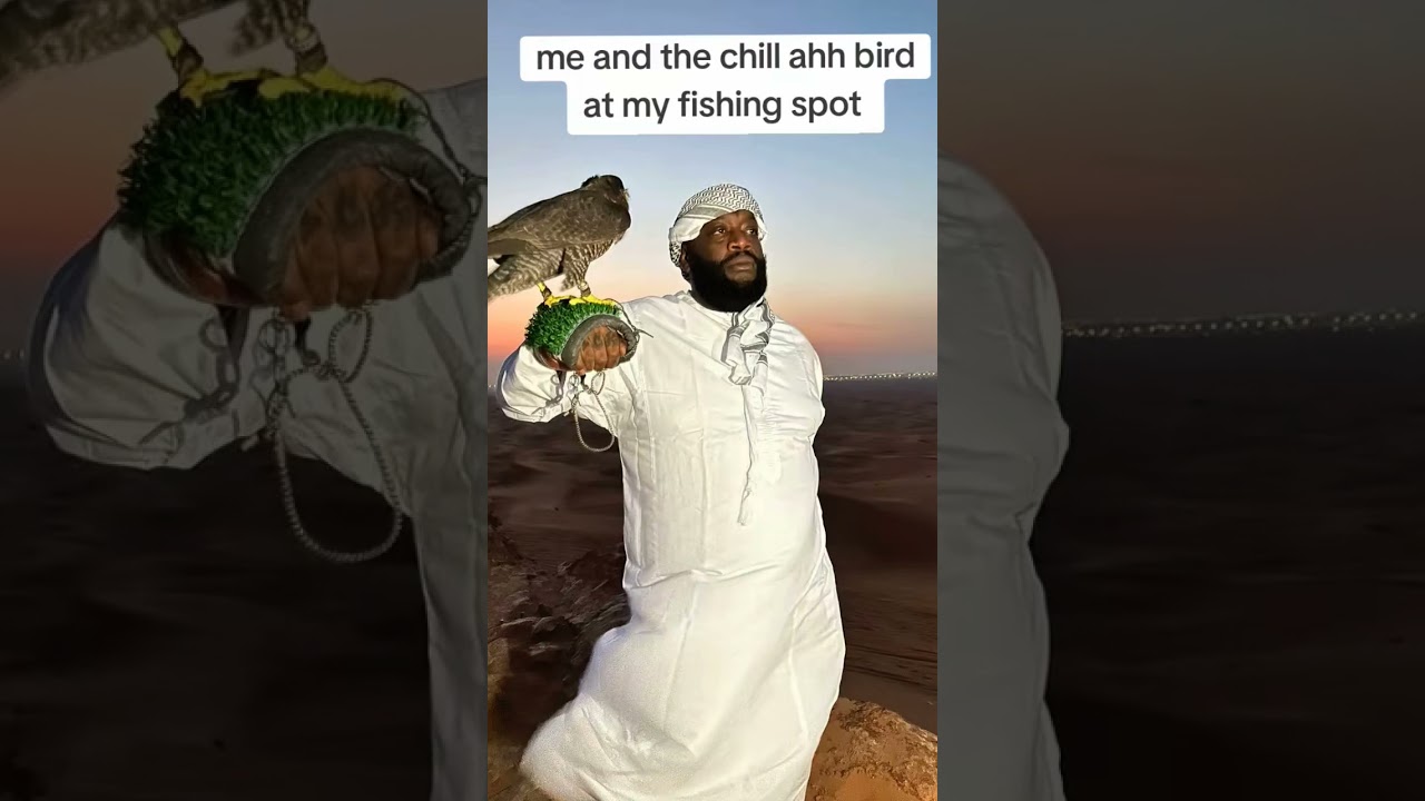 we love the blue herons and ducks 