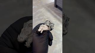 Silver Dragon Head Armor Ring | Item #71124