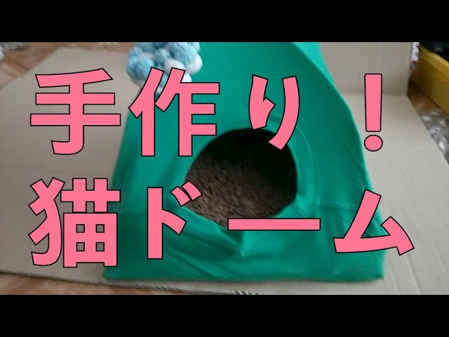簡単手作り ねこハウスの反応は Homemade Cute Cat Dome Kitten Youtube