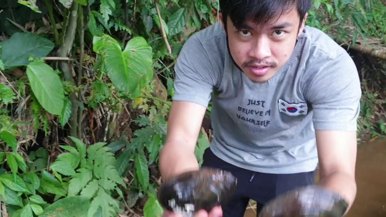 berburu kerang kijing di kampung talaga sukabumi - YouTube