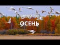 Осень