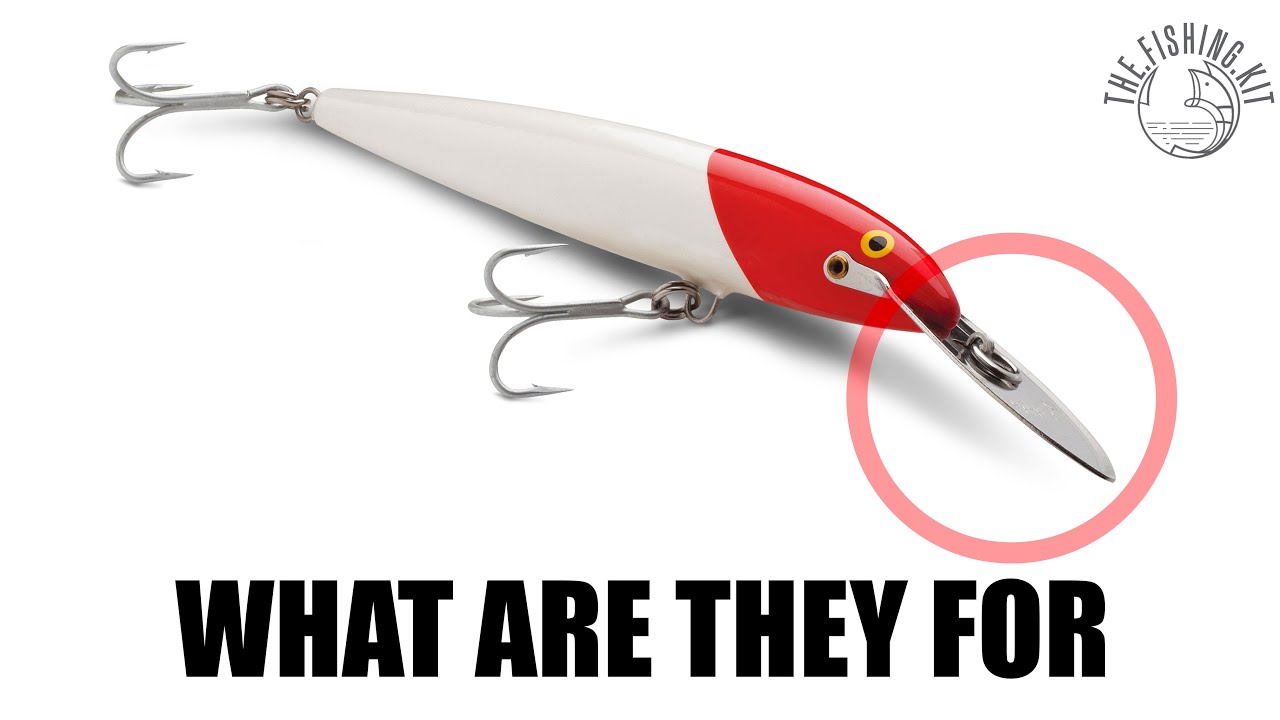 What do lure lips do? - lure fishing basics 