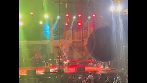 Femi Kuti says Obidients are zombies