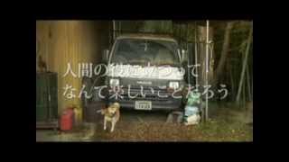 廃車ドットコムの評判 口コミは悪い おすすめ出来ない人の特徴
