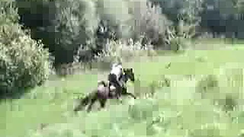 Nio bim Reuss-Galopp