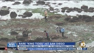 Beachgoers head to coast to see extreme tides: Rare 'king tides' occurring on San Diego coast