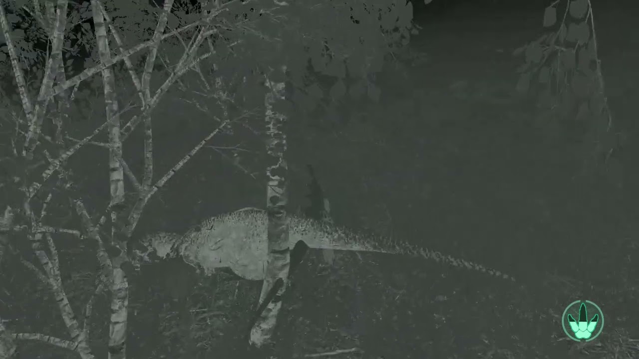 Least toxic allo players be like