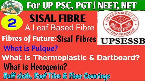 Set:01 multiple Choice Questions Based on SISAL FIBRES: Agave sisalana L.