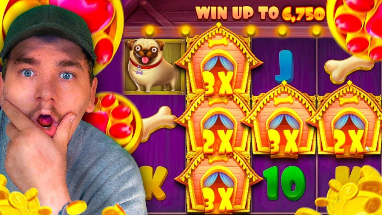 🐶 750.000 TL ÇILGIN ÖDEME! BEDAVA SPIN İLE MEGA WIN | THE DOG HOUSE SLOT | THE DOG HOUSE CANLI YAY
